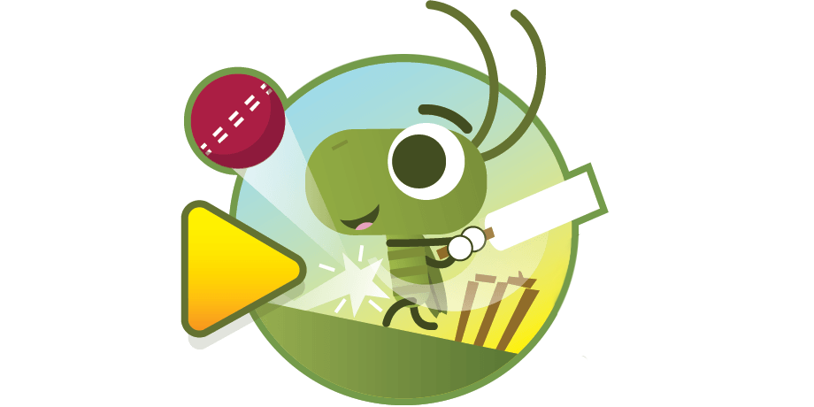 Doodle Cricket